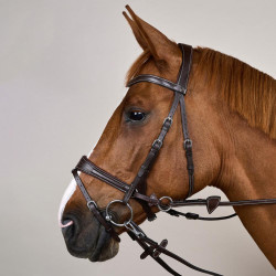 Brida Working by Dy'on con libertad de movimiento Castaño Marrón Brida Working by Dy'on con libertad de movimiento Castaño Marrón