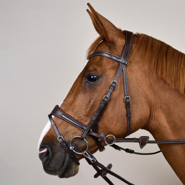 Brida Working by Dy'on con libertad de movimiento Castaño Marrón Brida Working by Dy'on con libertad de movimiento Castaño Marrón