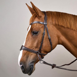 Brida Working by Dy'on con libertad de movimiento Castaño Marrón Brida Working by Dy'on con libertad de movimiento Castaño Marrón