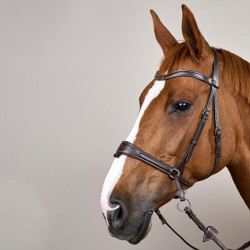 Brida Working by Dy'on con libertad de movimiento Castaño Marrón Brida Working by Dy'on con libertad de movimiento Castaño Marrón