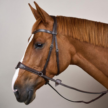 Brida Working by Dy'on con libertad de movimiento Castaño Marrón Brida Working by Dy'on con libertad de movimiento Castaño Marrón