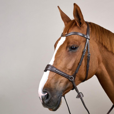 Brida Working by Dy'on con libertad de movimiento Castaño Marrón Brida Working by Dy'on con libertad de movimiento Castaño Marrón