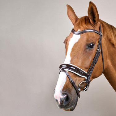 Brida Working by Dy'on Muserola Combinada Ancha Barnizada Forro Blanco Marrón Brida Working by Dy'on Muserola Combinada Ancha Barnizada Forro Blanco Marrón