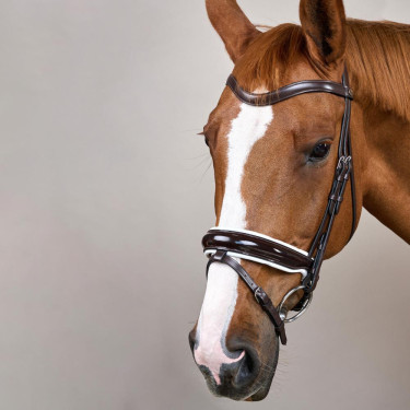 Brida Working by Dy'on Muserola Combinada Ancha Barnizada Forro Blanco Marrón Brida Working by Dy'on Muserola Combinada Ancha Barnizada Forro Blanco Marrón