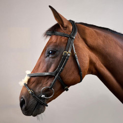 Brida Muserola Cruzada Trenzada D Colección Dy'on Negro