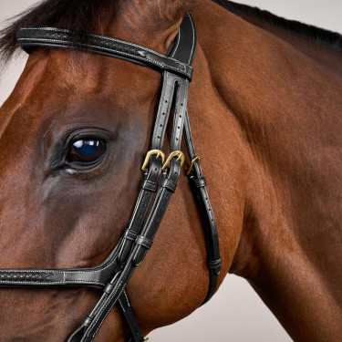 Brida Muserola Cruzada Trenzada D Colección Dy'on Negro