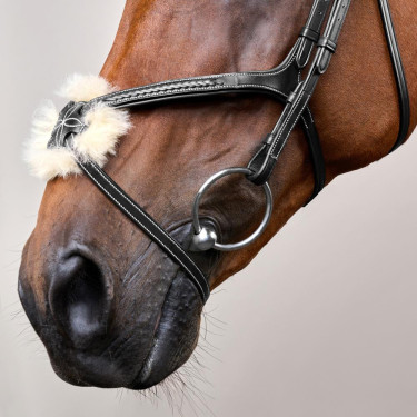 Brida Muserola Cruzada Trenzada D Colección Dy'on Negro