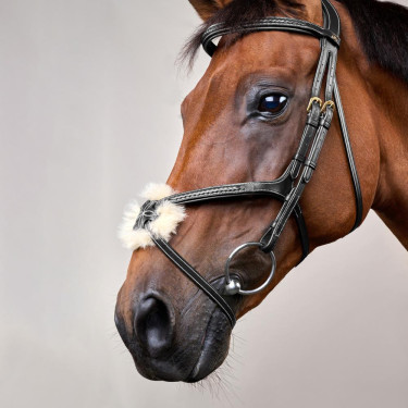 Brida Muserola Cruzada Trenzada D Colección Dy'on Negro