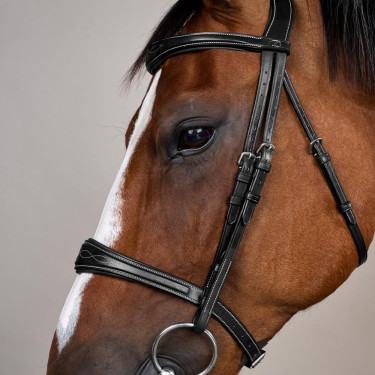 Muserola Anatómica sin Barbada Colección US Jumping Dy'on Negro Muserola Anatómica sin Barbada Colección US Jumping Dy'on Negro