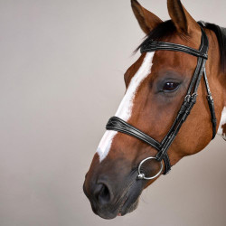 Muserola Anatómica sin Barbada Colección US Jumping Dy'on Negro Muserola Anatómica sin Barbada Colección US Jumping Dy'on Negro