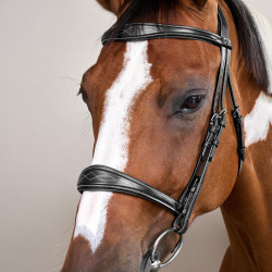 Muserola Anatómica sin Barbada Colección US Jumping Dy'on Negro Muserola Anatómica sin Barbada Colección US Jumping Dy'on Negro