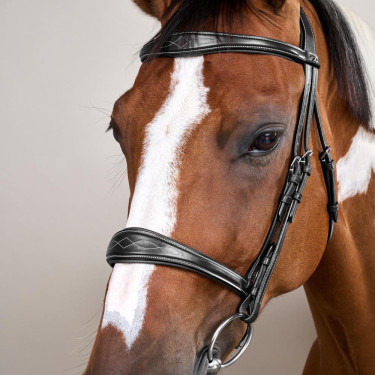 Muserola Anatómica sin Barbada Colección US Jumping Dy'on Negro Muserola Anatómica sin Barbada Colección US Jumping Dy'on Negro