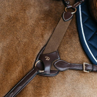 Protección de pechopetral de 5 puntos elástica Dy'on Marrón