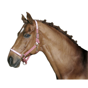 Gomas para trenzar Covalliero Gomas para trenzar Covalliero