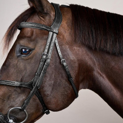 Cabezada Muserola Cruzada Trenzada New English Collection Dy'on Negro Cabezada Muserola Cruzada Trenzada New English Collection Dy'on Negro