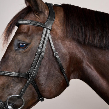 Cabezada Muserola Cruzada Trenzada New English Collection Dy'on Negro Cabezada Muserola Cruzada Trenzada New English Collection Dy'on Negro