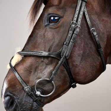 Cabezada Muserola Cruzada Trenzada New English Collection Dy'on Negro Cabezada Muserola Cruzada Trenzada New English Collection Dy'on Negro