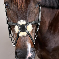 Cabezada Muserola Cruzada Trenzada New English Collection Dy'on Negro Cabezada Muserola Cruzada Trenzada New English Collection Dy'on Negro