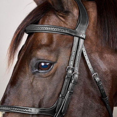 Cabezada Muserola Cruzada Trenzada New English Collection Dy'on Negro Cabezada Muserola Cruzada Trenzada New English Collection Dy'on Negro