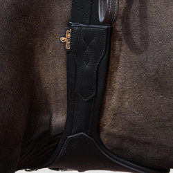 Cincha Anatómica Kentucky Negro