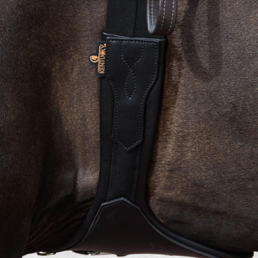 Cincha Anatómica Kentucky Negro