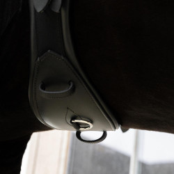 Cinchón Corto Anatómico Kentucky Negro Cinchón Corto Anatómico Kentucky Negro