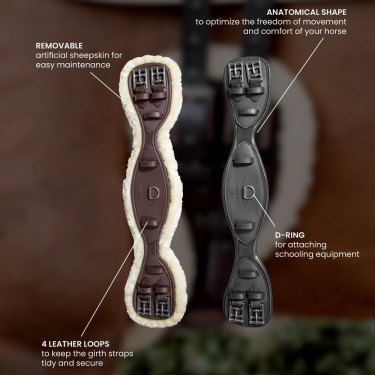 Cinchón Corto Anatómico Kentucky Negro Cinchón Corto Anatómico Kentucky Negro