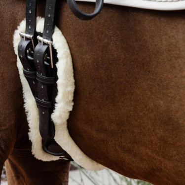 Cincha Corta Anatómica oveja Kentucky Negro