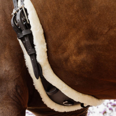Cincha Corta Anatómica oveja Kentucky Negro