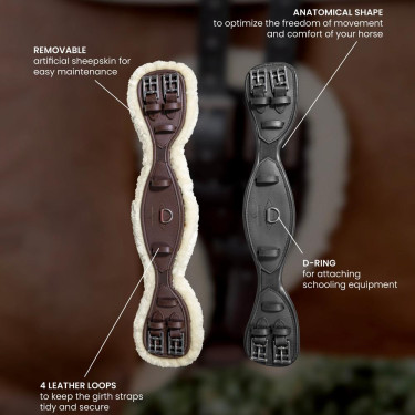 Cincha Corta Anatómica oveja Kentucky Negro