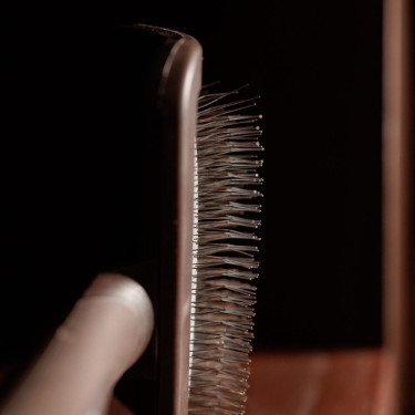 Cepillo para limpiar los velcros Grooming Deluxe Beige