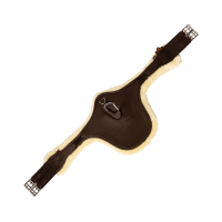 Cinchuelo bavero Kentucky anatómico borreguillo Negro