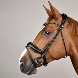 Brida Working de Dy'on ComfoHead Negro Brida Working de Dy'on ComfoHead Negro