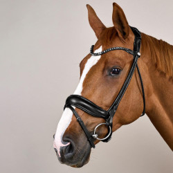 Brida Working de Dy'on ComfoHead Negro Brida Working de Dy'on ComfoHead Negro