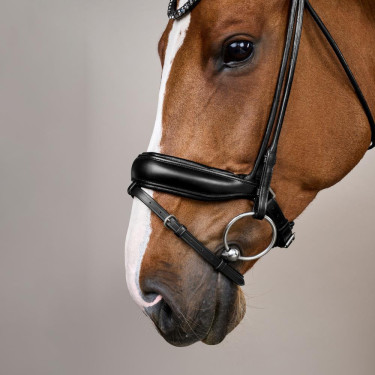 Brida Working de Dy'on ComfoHead Negro Brida Working de Dy'on ComfoHead Negro