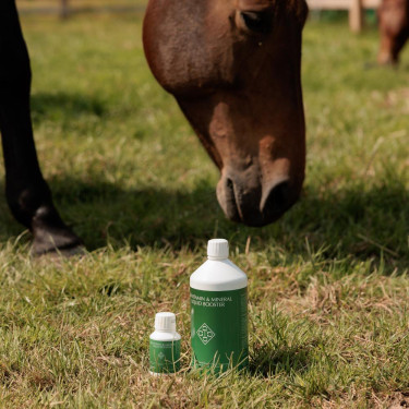 Impulsor Líquido de Vitaminas y Minerales Grooming Deluxe de Kentucky