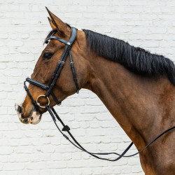 Cabezada con muserola combinada Dy'on de cuero suave Negro