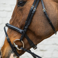 Brida con muserola combinada media de cuero suave Dy'on Negro