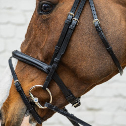 Brida con muserola combinada media de cuero suave Dy'on Negro