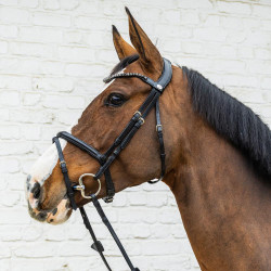 Brida con muserola combinada media de cuero suave Dy'on Negro