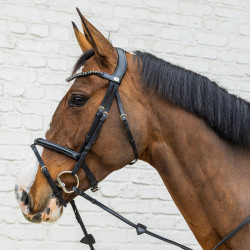 Brida con muserola combinada media de cuero suave Dy'on Negro