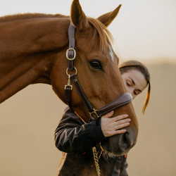 Cabezada de Cuero D Collection by Dy'on Castaño Marrón