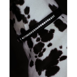Collar para perro Equestrian Stockholm con strass Edición negra Negro