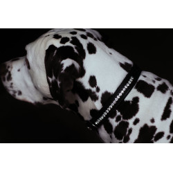 Collar para perro Equestrian Stockholm con strass Edición negra Negro