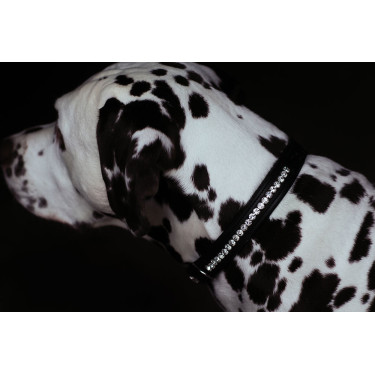 Collar para perro Equestrian Stockholm con strass Edición negra Negro