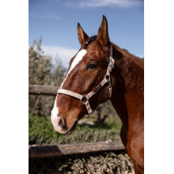 Cabezada de cuadra Hardwick B Vertigo Sepia rosado