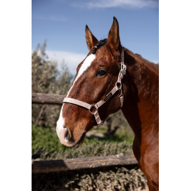 Cabezada de cuadra Hardwick B Vertigo Sepia rosado
