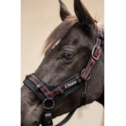 Cabezada Cairo Infrarrojo Horze Gris antracita oscuro Cabezada Cairo Infrarrojo Horze Gris antracita oscuro