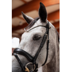 Cabezada slim Horze Delémont Negro caviar