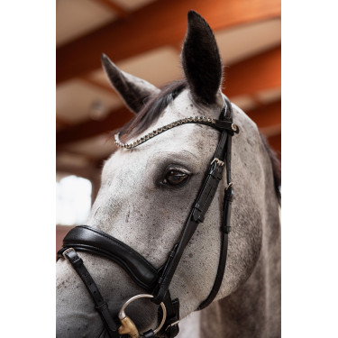 Cabezada slim Horze Delémont Negro caviar